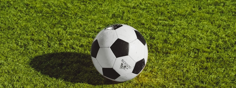 哈利法国际体育场内部 - 巨大看台与现代化顶棚